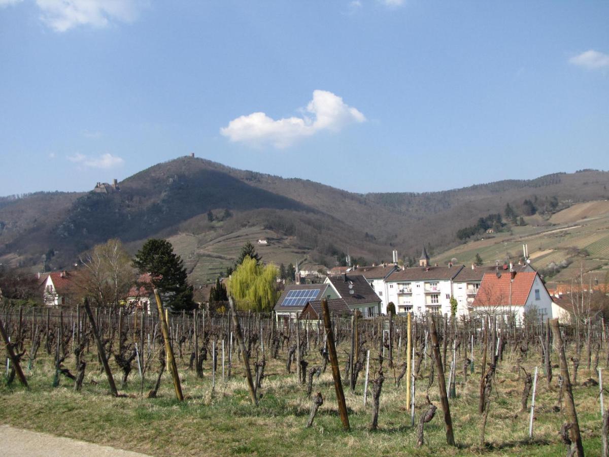 Le Tokay Ribeauvillé